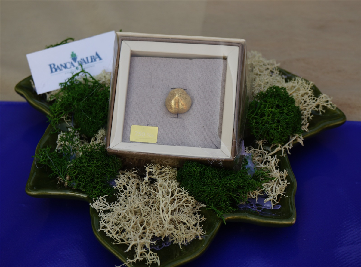 Nocciola oro