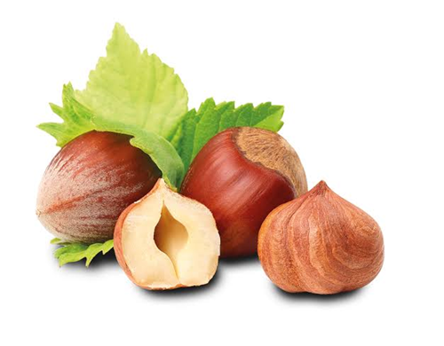 Concorso Nocciola d'oro 2026